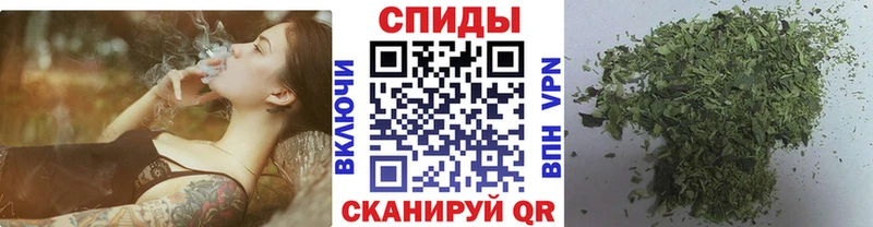 БУТИРАТ буратино Иваново